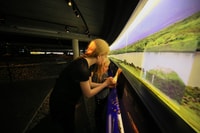 Reykjavík City Card - Housity