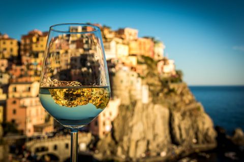 Cinque Terre: Wine Tasting and Walking Tour