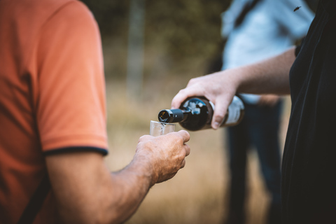 Dresden: Boat Cruise with Wine Tasting and Snacks