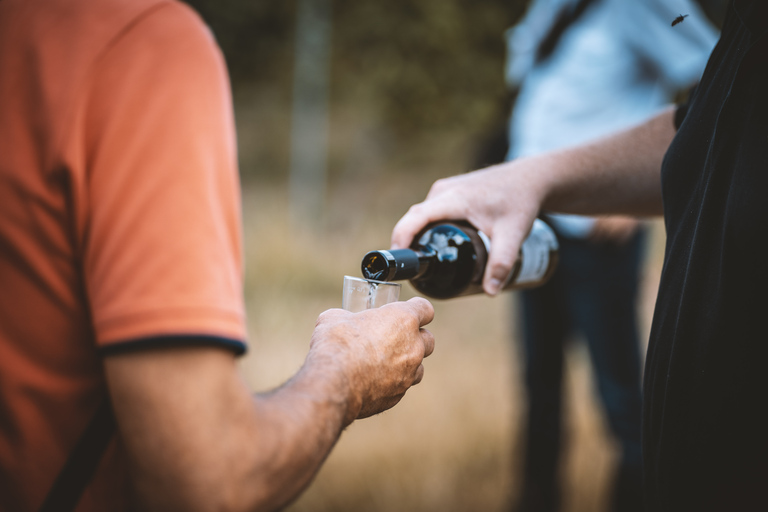 Dresden: Boat Cruise with Wine Tasting and Snacks