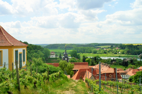 Dresden: Boat Cruise with Wine Tasting and Snacks