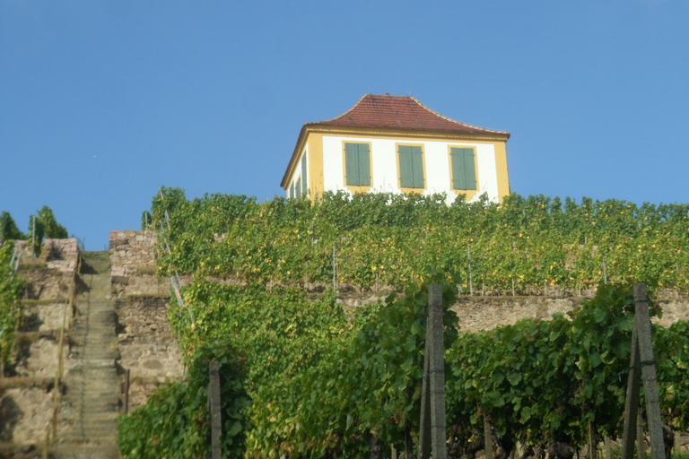 Dresden: Boat Cruise with Wine Tasting and Snacks