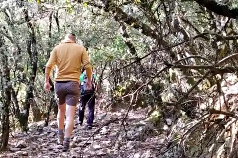 Marbella: excursion d'une journée dans le parc national de la Sierra de las Nieves
