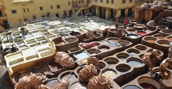 Fez: Half-Day City Private Walking Tour with a Guide