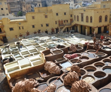 Fez: Half-Day City Private Walking Tour with a Guide