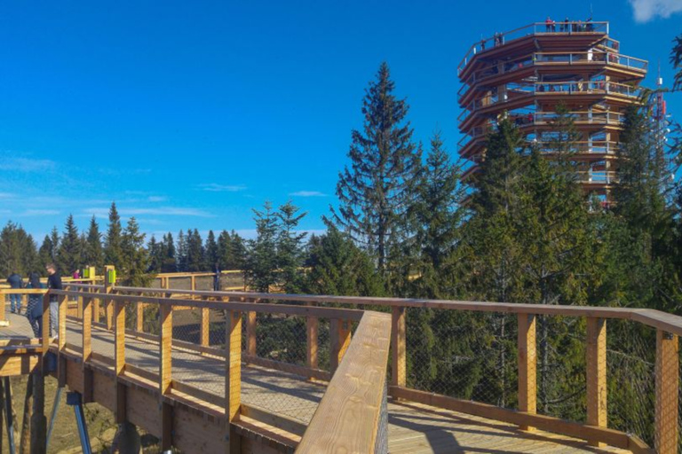 De Cracóvia: Treetop Walk na Eslováquia e passeio pelos banhos termaisDe Cracóvia: Passeio pelas copas das árvores e banhos termais na Eslováquia