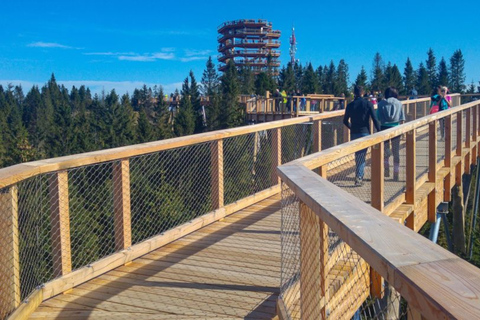 De Cracóvia: Treetop Walk na Eslováquia e passeio pelos banhos termaisDe Cracóvia: Passeio pelas copas das árvores e banhos termais na Eslováquia