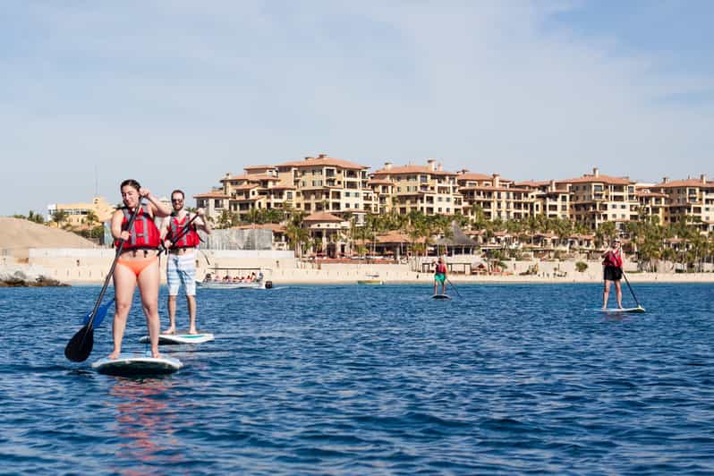 Los Cabos Private Paddleboarding and Snorkeling Tour GetYourGuide
