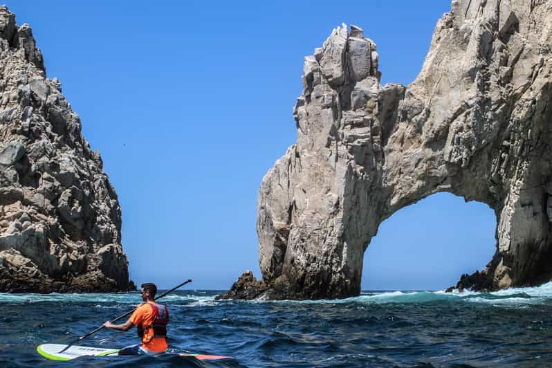 Los Cabos Private Paddleboarding and Snorkeling Tour GetYourGuide
