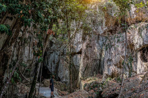 Grottes du Capricorne, Australie : visite de 45 minutes de la grotte de la cathédraleGrottes du Capricorne : visite de 45 minutes de la grotte de la cathédrale