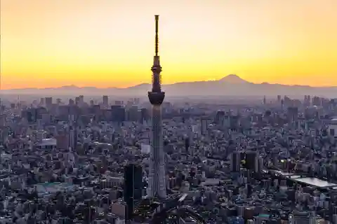 東京スカイツリー：地下鉄24時間パス付き入場券