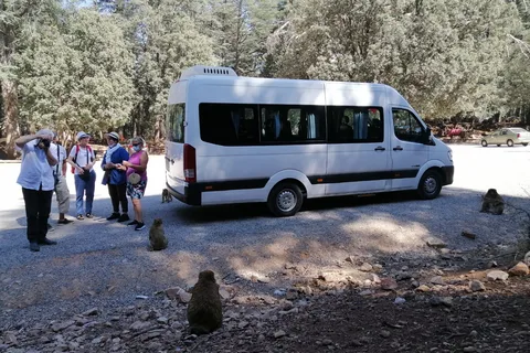 From Fez: Middle Atlas Day Trip with Ifrane National Park
