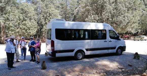 From Fez: Middle Atlas Day Trip with Ifrane National Park