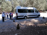 从FEZ开始，与伊夫兰国家公园的中间地图集一日游 - Housity