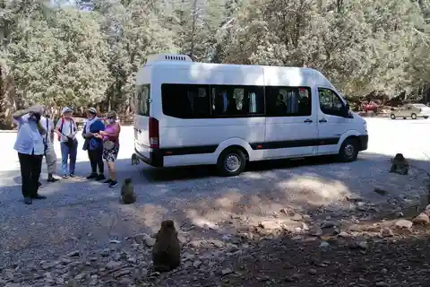 From Fez: Middle Atlas Day Trip with Ifrane National Park