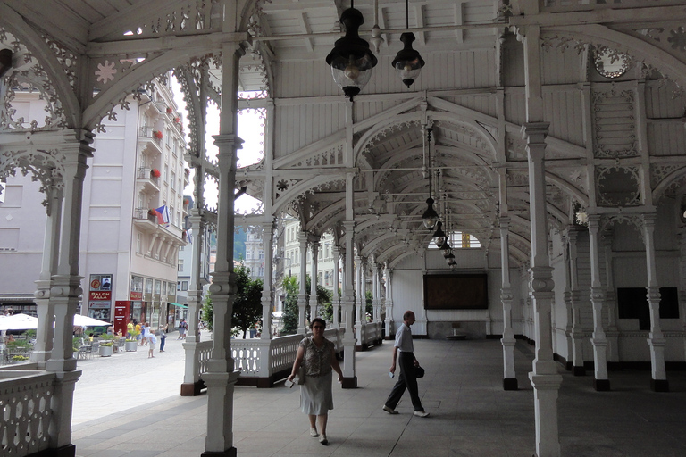 Da Praga: tour privato di Karlovy Vary e della fabbrica di cristalli