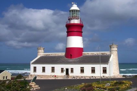 Cape Town: Cape Agulhas Tour with Lighthouse & Penguins