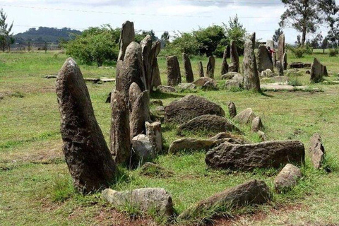 From Addis Ababa: Melka Kunture Archaeological Site Tour