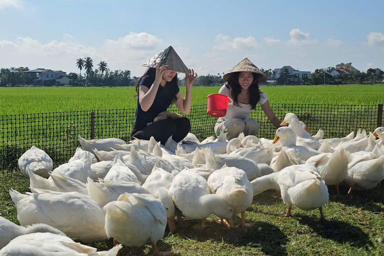 Hoi An: Lantern Making, Duck Farm, & Basket Boat Tour Hoi An: Lantern Making, Duck Farm, & Basket Boat Tour