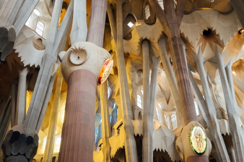 Barcelona: Visita guiada sin colas a la Sagrada FamiliaOpción estándar
