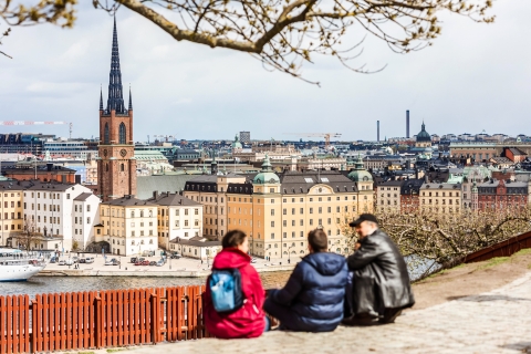 Estocolmo: Visita privada a pie personalizada con un guía localRecorrido de 8 horas
