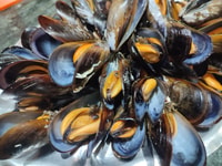 Ría de Arousa, promenade en bateau vers la ferme de moules avec dégustation - Housity