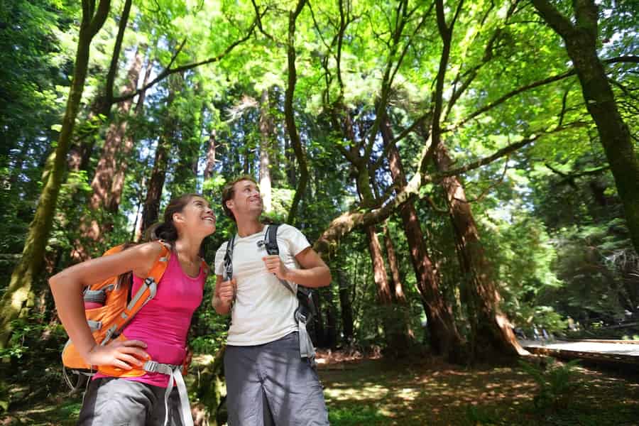 San Francisco Combo: Hop-on Hop-Off Ticket & Muir Woods Tour. Foto: GetYourGuide