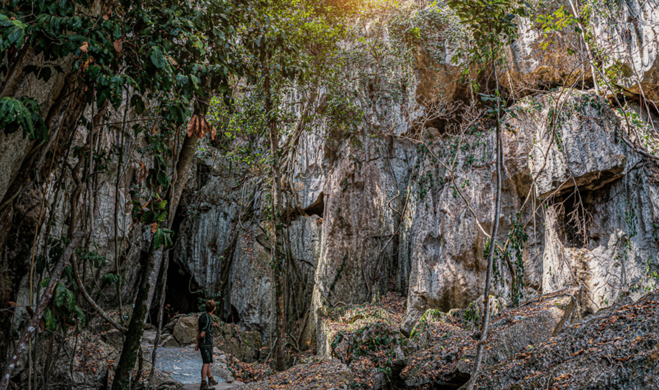 Queensland Minuten Capricorn Caves Explorer Tour Getyourguide