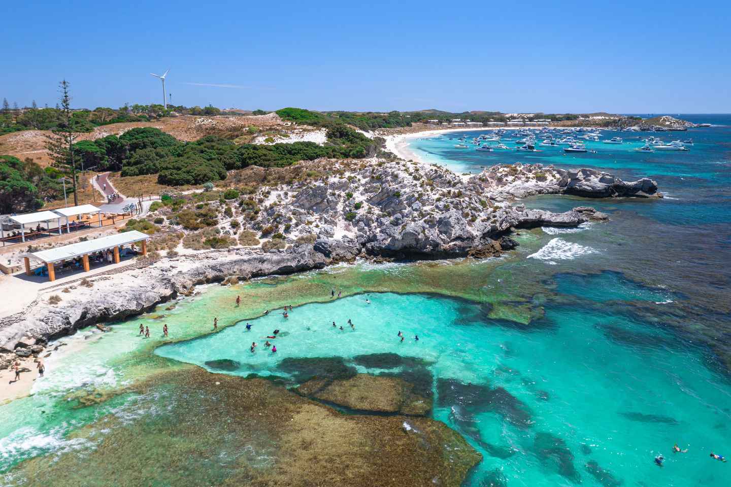 Perth: Rottnest Island Ferry, Bike, Coffee & Lobster Roll - Perth: Rottnest Island Ferry, Bike, Coffee & Lobster Roll