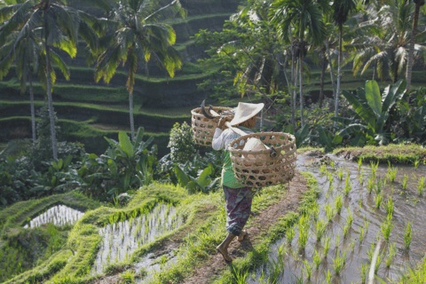 Från Ubud: Kvällstur med eldflugor i Taro VillageFrån Ubud: Taro Village: Ubud: Kvällstur med eldflugor i Taro Village