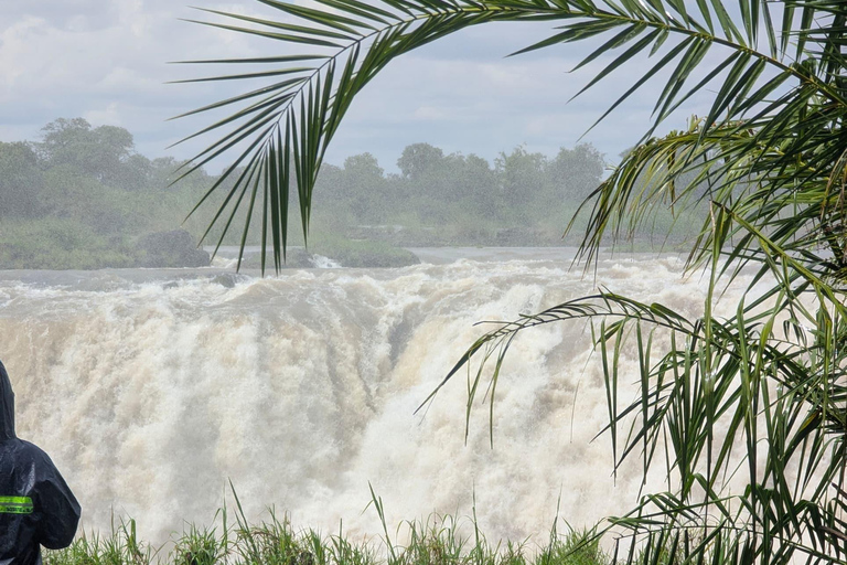 Victoria Falls Guided Tour + Devils or Angel's pool Swimming