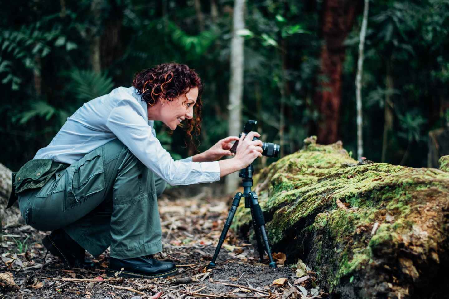 Cairns: Botanisk Have Guidet Mushroom Photography Tour