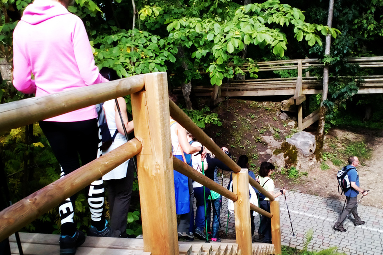 Randonnée guidée dans le parc national de GaujaDepuis Riga/Jurmala : Randonnée guidée dans le parc national de Gauja
