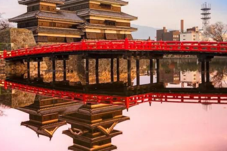 Nagano/Tokyo: Snow Monkey Private Car Tour Hotel Pick & Drop