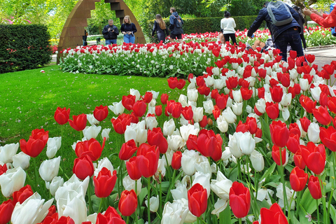 Au départ d'Amsterdam : Visite des tulipes à Keukenhof et visite de la ville de Delft