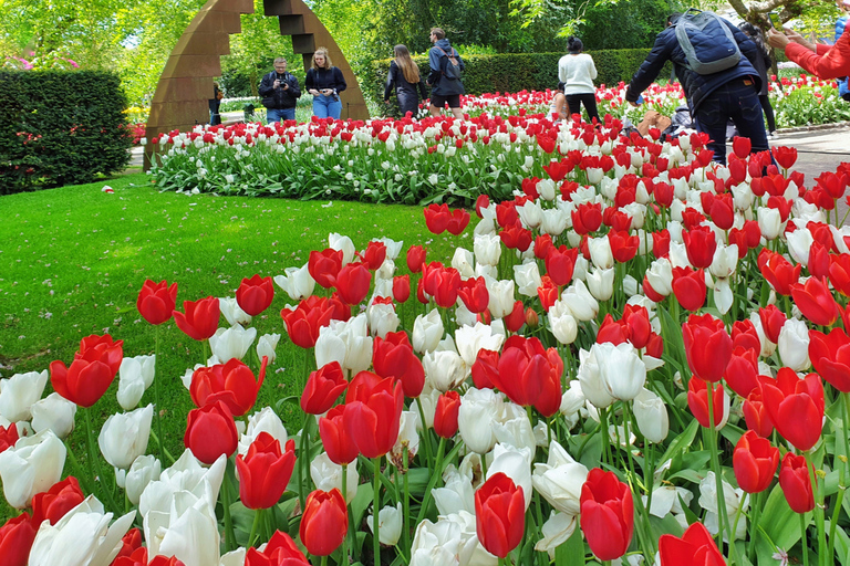 From Amsterdam: Tulip Tour Keukenhof & City Tour Delft