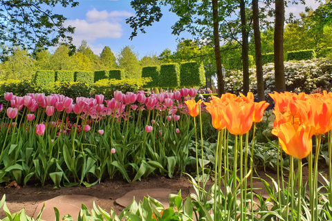 Au départ d'Amsterdam : Visite des tulipes à Keukenhof et visite de la ville de Delft