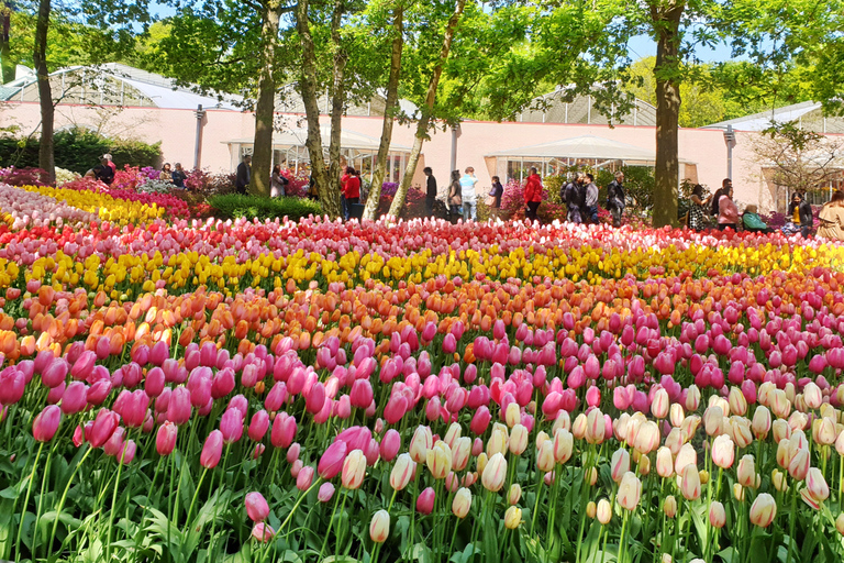 Au départ d'Amsterdam : Visite des tulipes à Keukenhof et visite de la ville de Delft