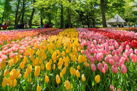 Von Amsterdam aus: Tulpentour Keukenhof & Stadtführung DelftVon Amsterdam aus: Tulpentour Keukenhof & Stadtrundfahrt Delft