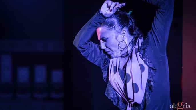 Málaga: espectáculo de flamenco en el Tablao Alegría