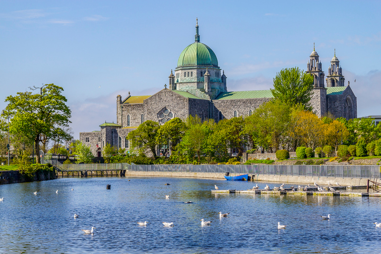 Z Dublina: całodniowa wycieczka do Klifów Moher i Galway