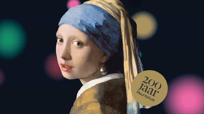 The Hague: Mauritshuis Entrance Ticket