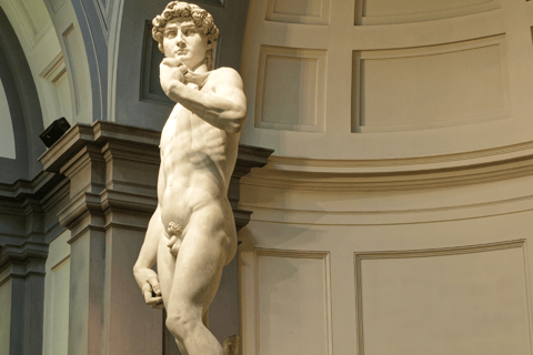 Galleria dell'Accademia e Uffizi: ingresso prioritario