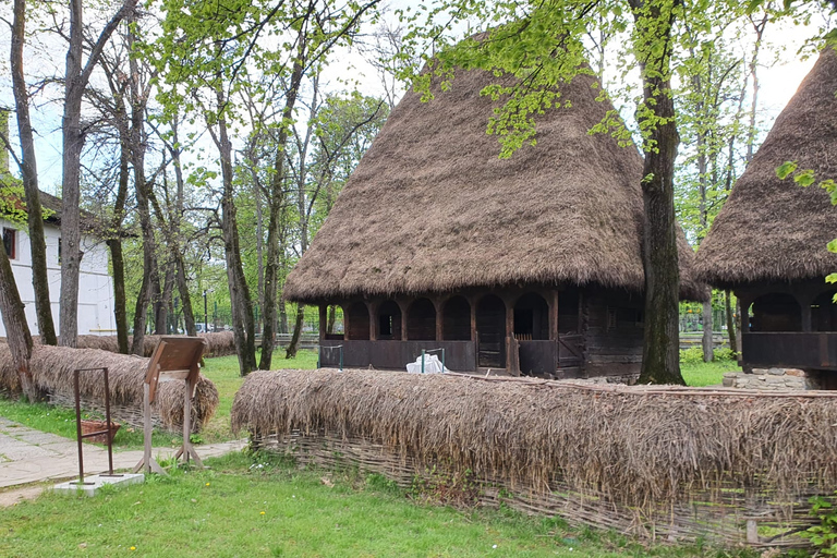 From Bucharest: Vlad the Impaler Royal Court Private Tour