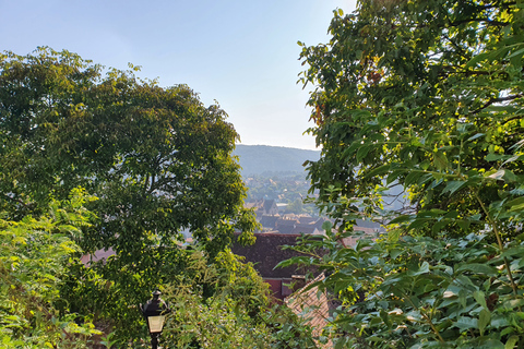 De Bucarest: visite privée de la cour royale de Vlad l'Empaleur