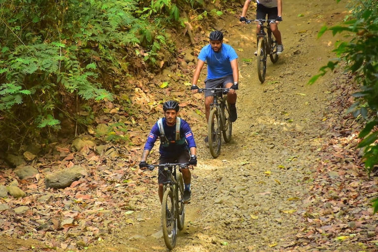 Playa Herradura: Jungle and Waterfalls Mountain Bike Tour