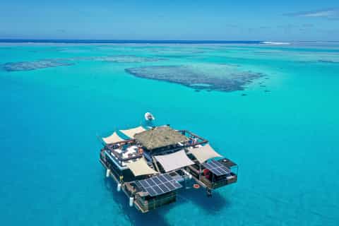 Fiji: Cloud 9 Floating Bar and Pizzeria Day Trip