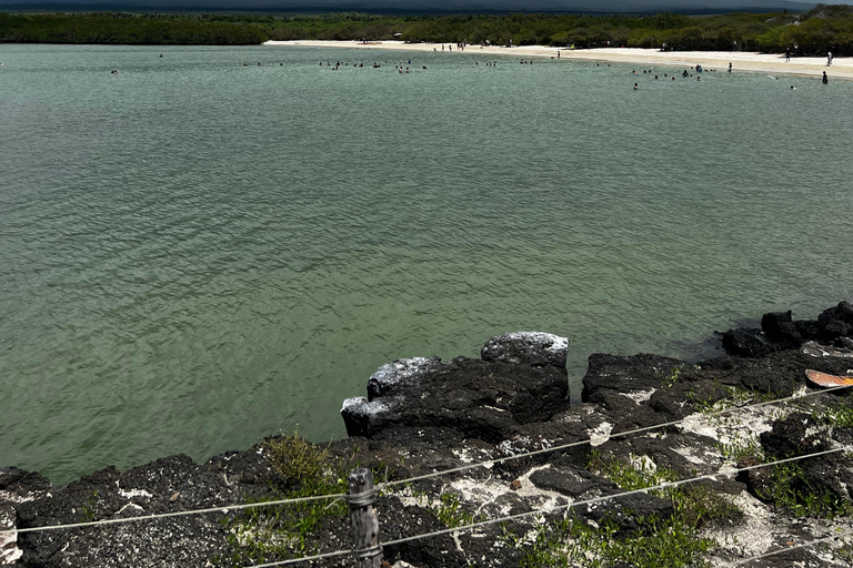 Galápagos: Sightseeing Tour to Tortuga Bay with Crystal-Clear Waters and Kayak