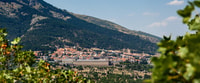 Royal Site of San Lorenzo de El Escorial Entrance Ticket - Housity