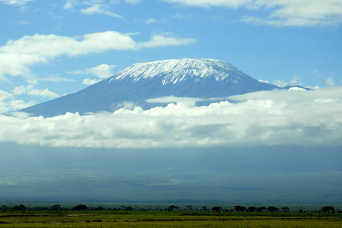 Von Nairobi aus: Amboseli National Park Tagesausflug & Pirschfahrt